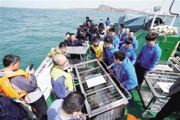 刘友林：倾心守护海洋精灵